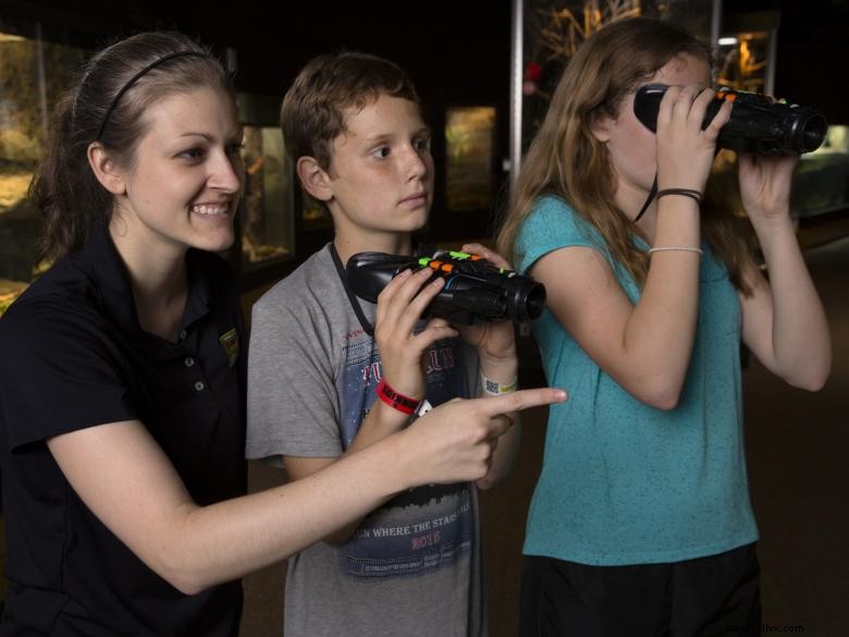 École et groupe NightCrawler Nuit 