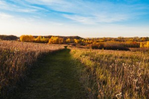 10 parques estatales de Minnesota para su próximo viaje de campamento en autocaravana 