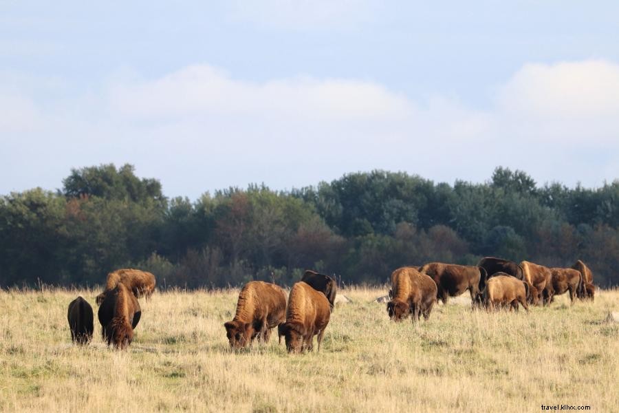 Encontre Camping, Caminhadas e herança indígena americana no sudoeste de Minnesota 