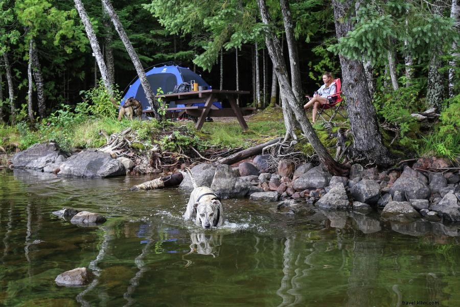 16 Tempat Ramah Anjing untuk Menginap di Minnesota 