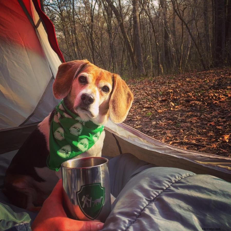 森の中のフィド：ミネソタ州の5つの犬に優しいキャンプ場 