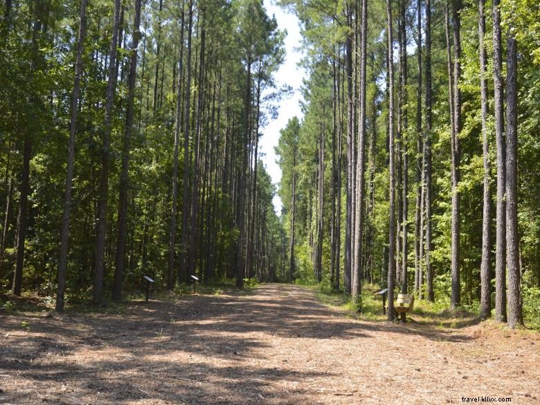 Sendero bautismal histórico 