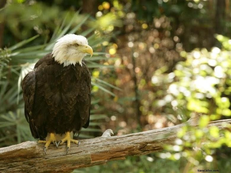 Centro per l educazione della fauna selvatica 