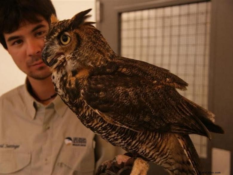 Centro per l educazione della fauna selvatica 