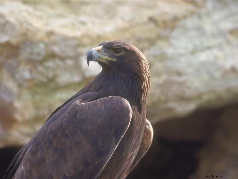 Centro per l educazione della fauna selvatica 