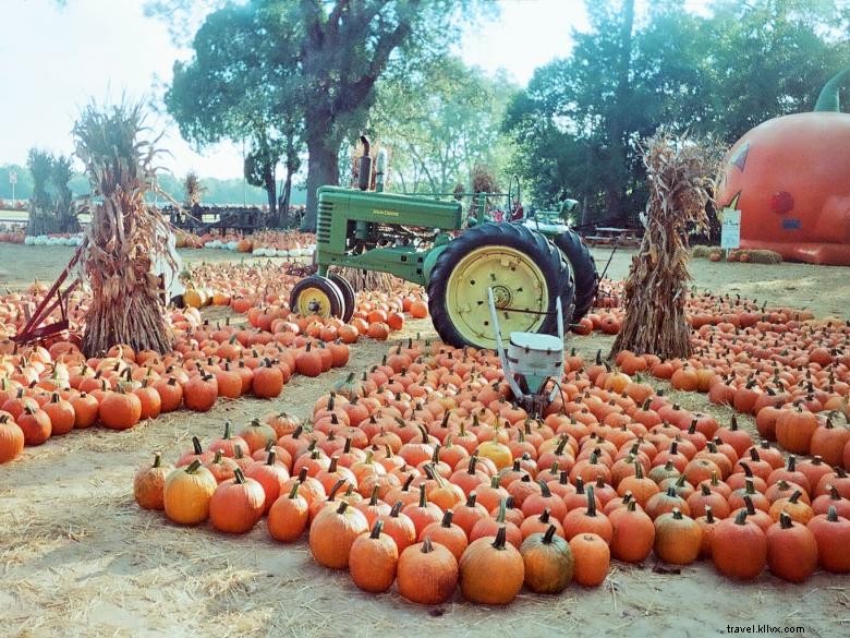 Tandai Melon Patch 