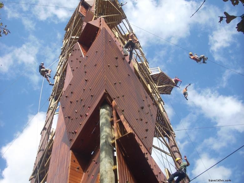 Canopy Tours en tirolesa ecológica de Banning Mills Screaming Eagle 