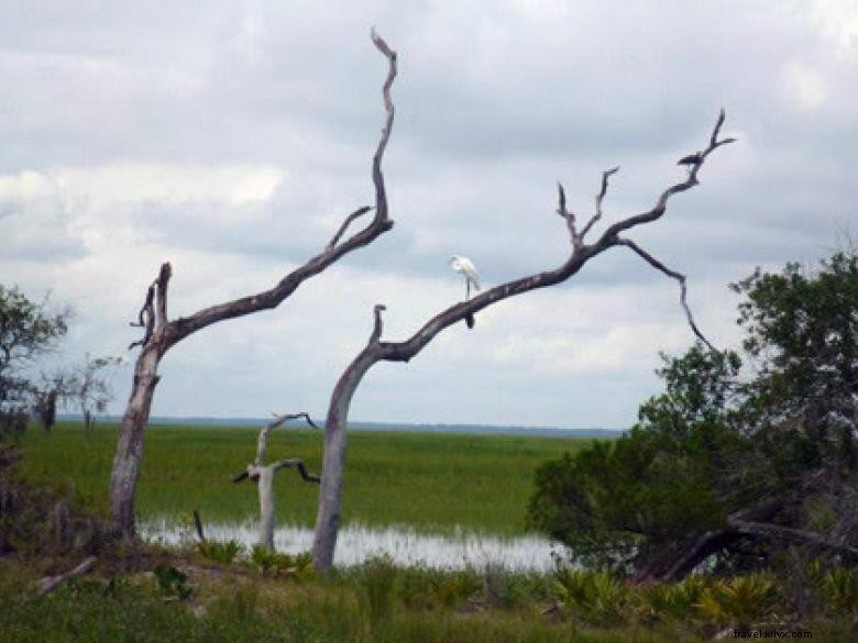 Desierto del sudeste 