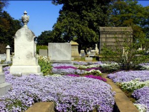 歴史的なオークランド墓地 
