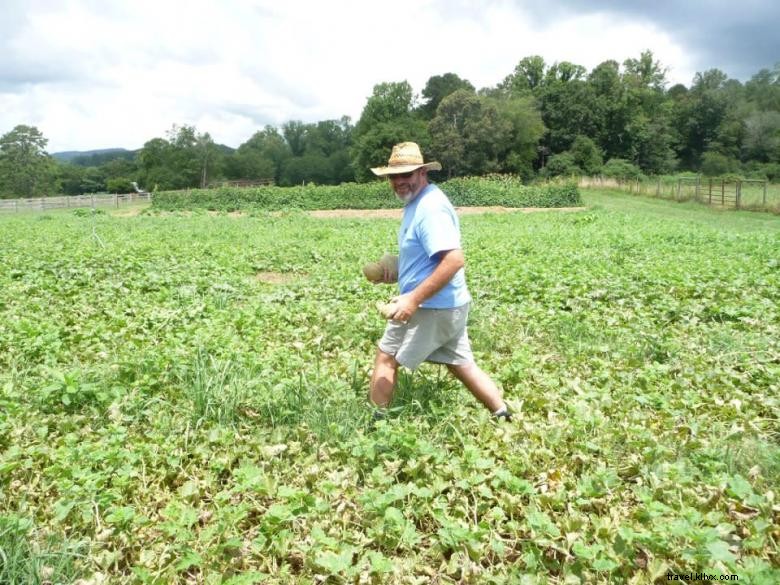 Melon Head Farm 