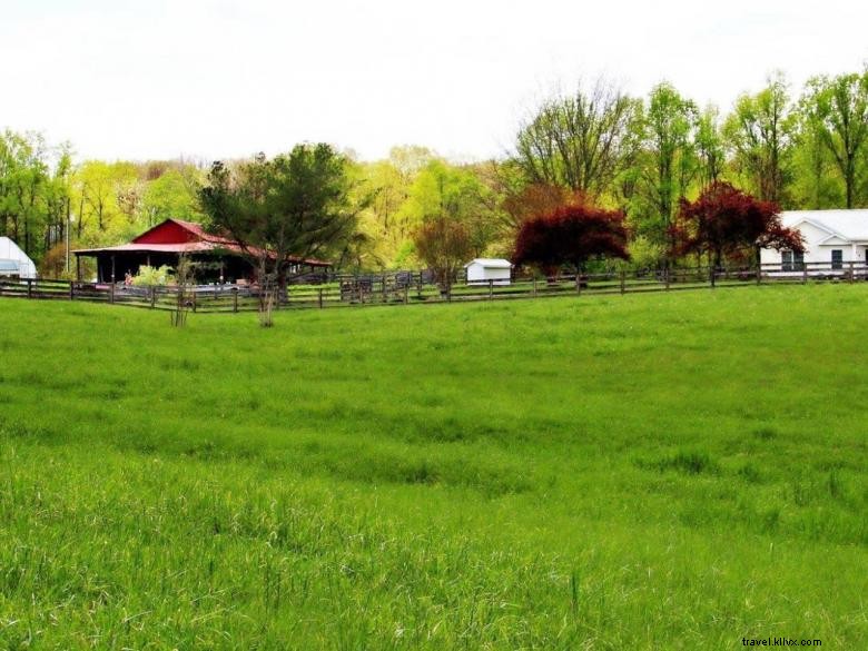 Granja de cabeza de melón 