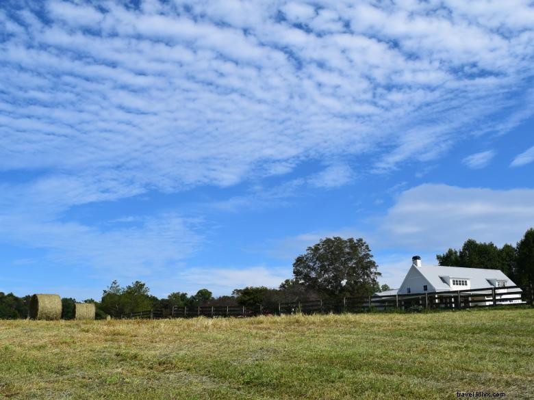 Granja de cabeza de melón 