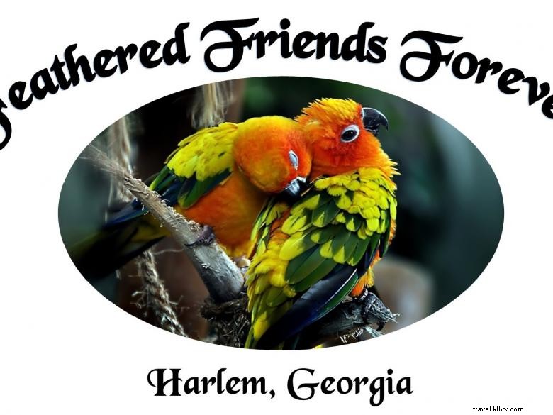 Feathered Friends Forever Rescue/Refuge, Inc. 