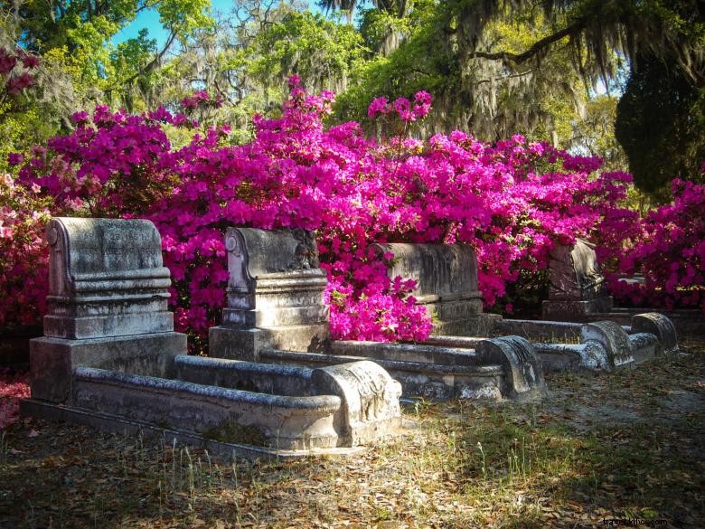 Tours Savannah Bonaventure Dash 