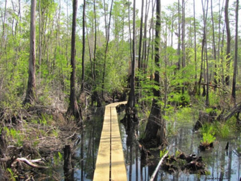 Parque del pantano de Okefenokee 