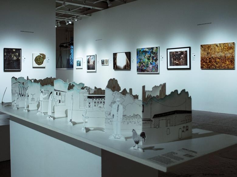 El Museo de Arte Contemporáneo de Georgia 
