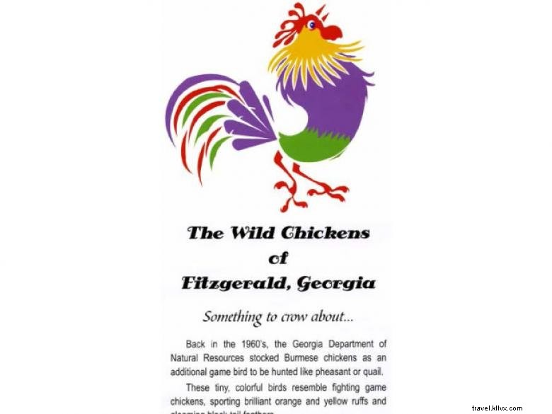 Les poulets sauvages de Fitzgerald 