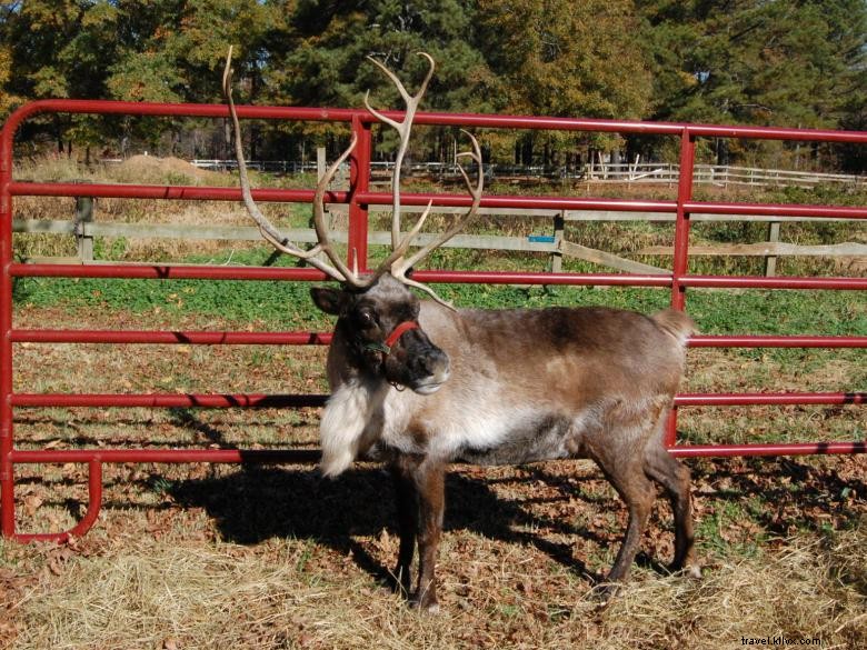 Pettit Creek Farms 