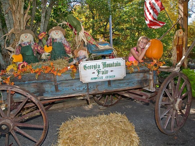 Georgia Mountain Fairgrounds 