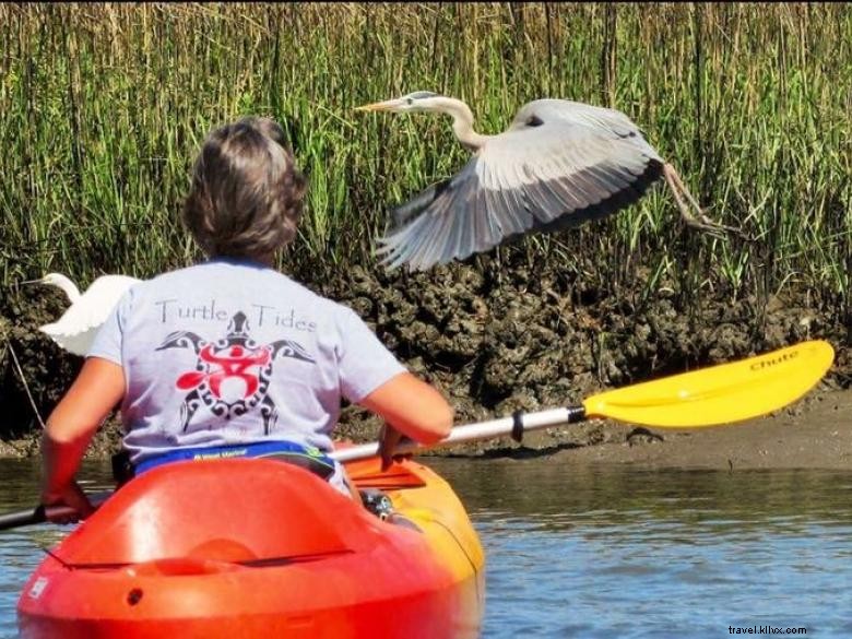 Turtle Tides Jekyll Rentals &Tours 