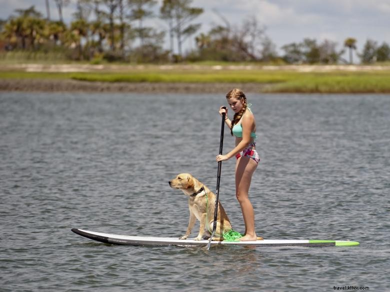 Paddleboarding Pantai Timur 