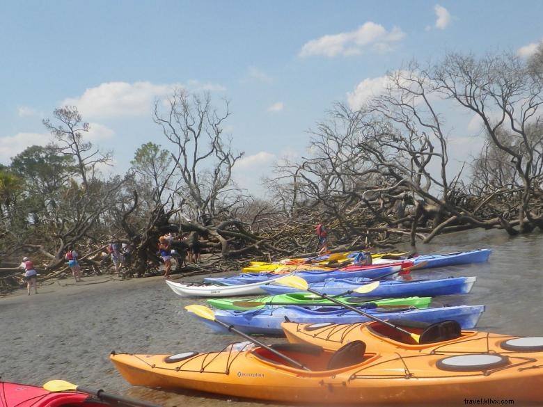 Sea Kayak Georgia 