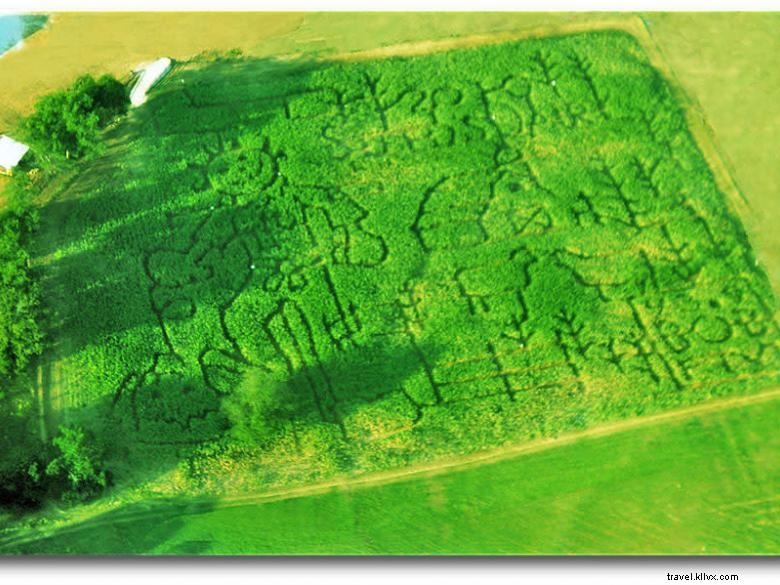 Laiterie des chevaux 