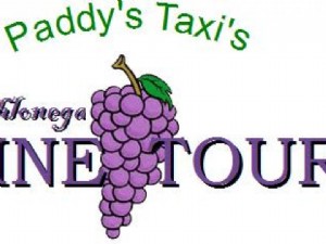 Dahlonega Wine Tours 