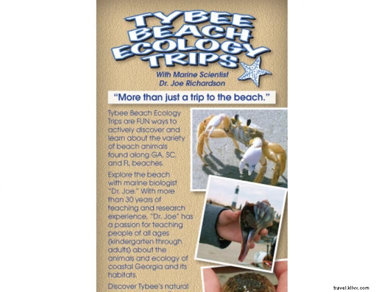 Voyages écologiques à Tybee Beach 