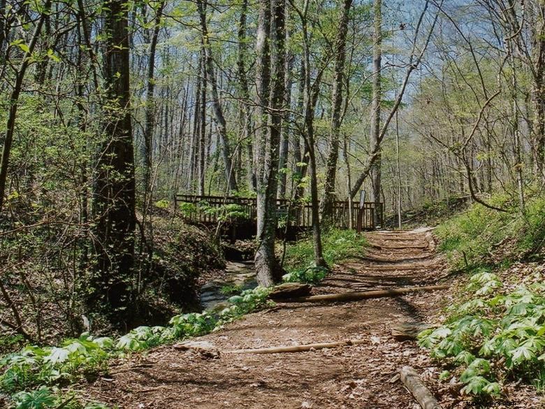 Centro di scienze naturali di Elachee 