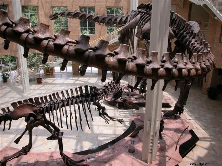 Museo di Storia Naturale di Fernbank 