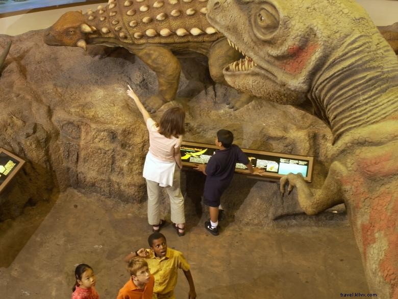 Museum Sejarah Alam Fernbank 