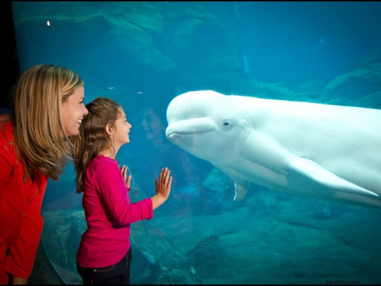 Acquario della Georgia 