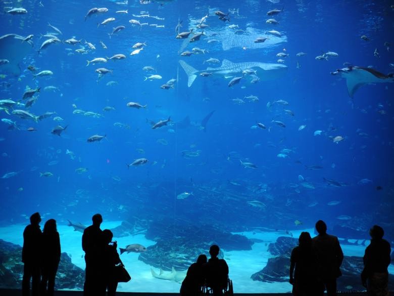 ジョージア水族館 