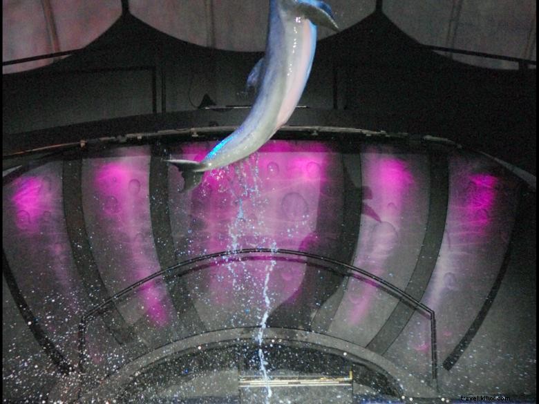 Georgia Aquarium 