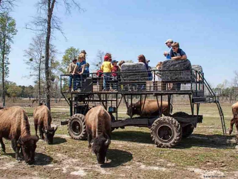 Georgia Buffalo Ranch &Trading Post 