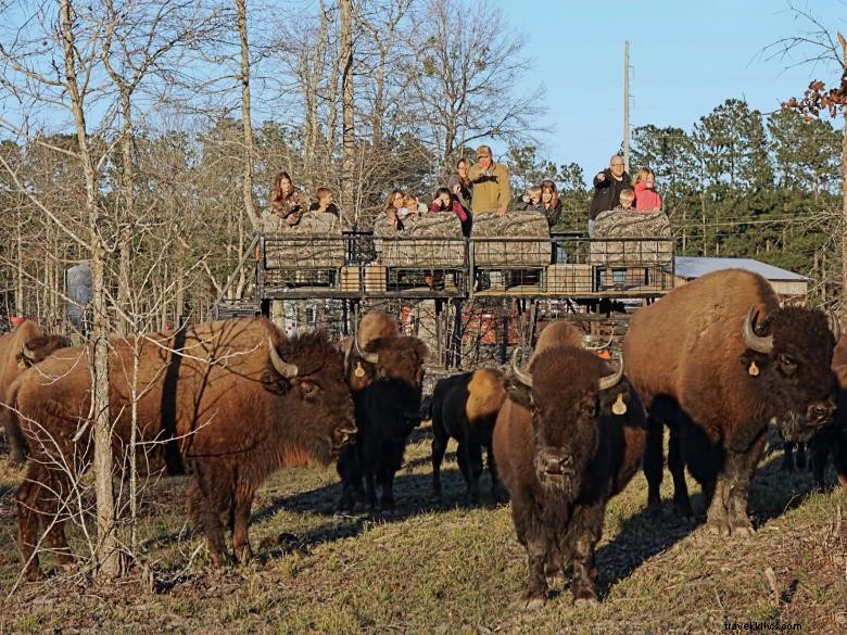 Georgia Buffalo Ranch et poste de traite 