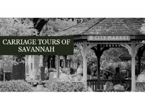 Tour in carrozza di Savannah 