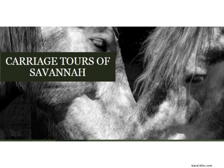 Visites en calèche de Savannah 