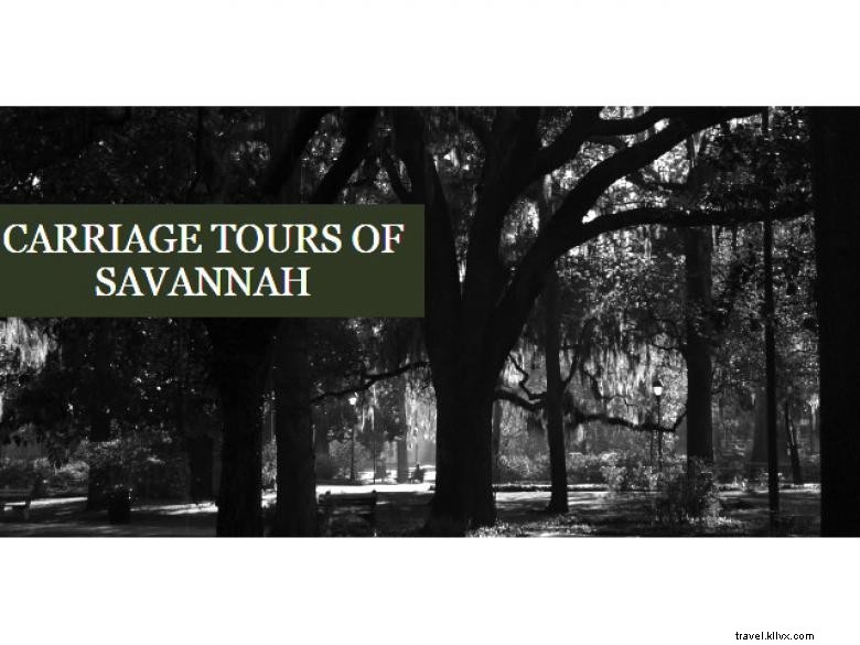 Visites en calèche de Savannah 