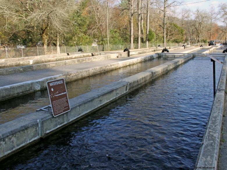 Burton Trout Hatchery 