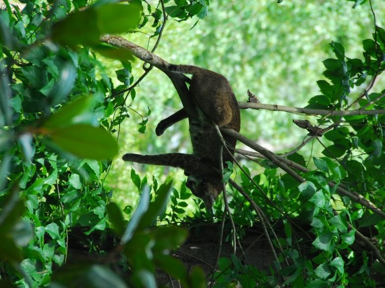 Taman Chehaw 