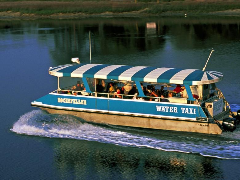 Excursions avec les dauphins de l île Jekyll 