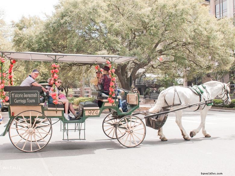 Recorridos en carruaje histórico por Savannah 