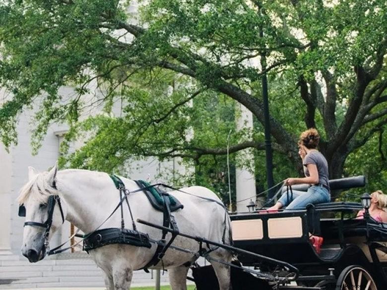 Passeios históricos em carruagem em Savannah 