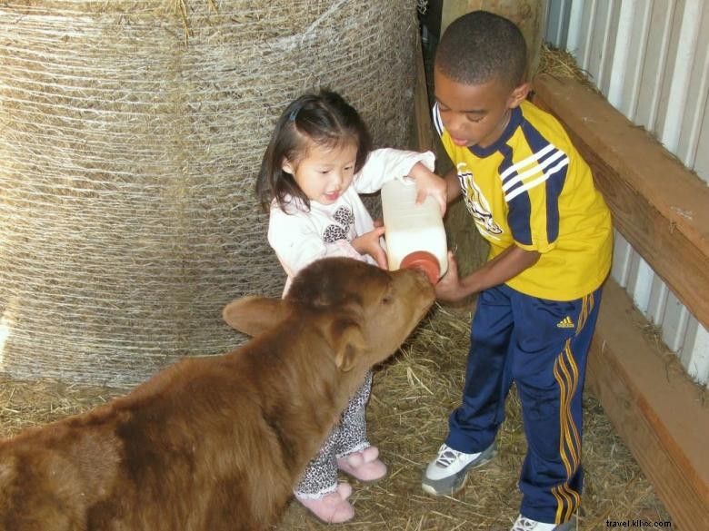 Santuario de animales del Arca de Noé 