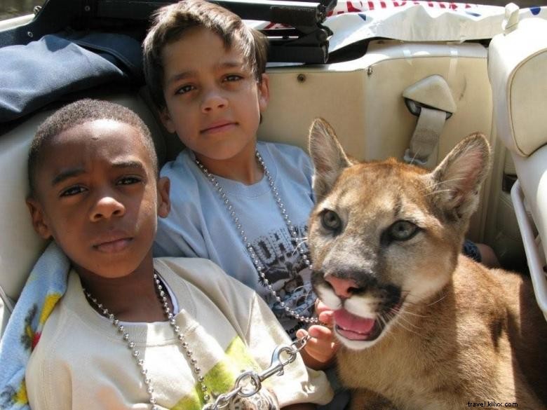 Santuário de Animais da Arca de Noé 