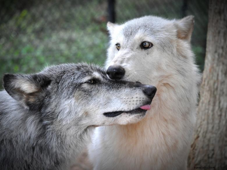 Santuario de animales del Arca de Noé 