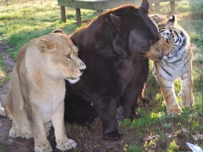 Santuario de animales del Arca de Noé 