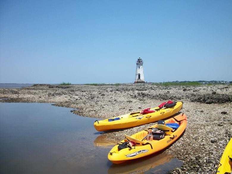 Surf et kayak de l île du Nord 